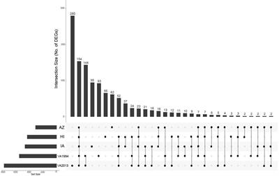 Varying conjunctival immune response adaptations of house finch populations to a rapidly evolving bacterial pathogen